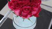 عکس گل برای پروفایل واتساپ شیک و خیلی جذاب و لاکچری