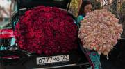 عکس خفن برای پروفایل 1401 فیک و بدون متن با سبک اروپایی و لاکچری