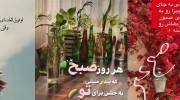عکس نوشته های انگیزشی مثبت 1401 برای استوری کردن در فضای مجازی