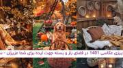 تم پاییزی عکاسی 1401 در فضای باز و بسته جهت ایده برای شما عزیزان