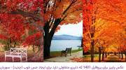 عکس پاییز برای پروفایل 1401 که دلبری متفاوتی دارد برای ایجاد حس خوب (جدید)