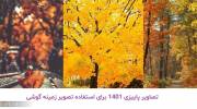 تصاویر پاییزی 1401 برای استفاده تصویر زمینه pc و گوشی