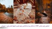 تصاویر پاییز بارانی 1401 با مناظر زیبا و تماشایی برای شور و شوق فصل پاییز