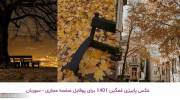 عکس پاییزی غمگین 1401 برای پوفایل صفحه مجازی 