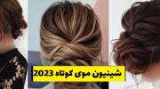 شینیون موی کوتاه 2023 مجلسی فوق العاده زیبا (زنانه - دخترانه)