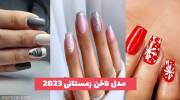 طرح های جدید از مدل ناخن زمستانی 1402 ترکیب شده با هنر ترند مانکوری