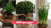 اگر به دنبال مدلهای جدید تزیین سبزه برای نوروز سال 1402