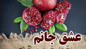 25 پیام تبریک شب یلدای 1402 به همسر و عشقم (متفاوت و عاشقانه) + عکسنوشته یلدات مبارک عشق من!
