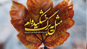 20 متن ناب و جانانه در مورد پاییز برای کپشن پست و استوری اینستا + عکسنوشته پاییزی