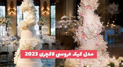 مدل کیک عروسی لاکچری 1402 چندين طرح جمع آوری شده از اینستا