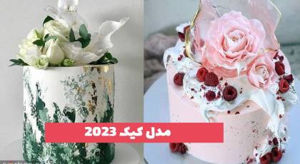 با مدل کیک 2023 آشنا شوید و ایده الگو برداری کنید!