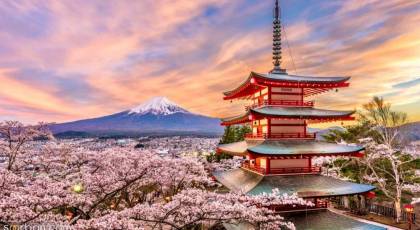 چرا باید برای یک بار هم که شده به ژاپن سفر کنیم؟
